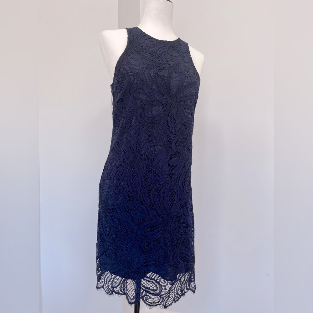 Babaton lace dress